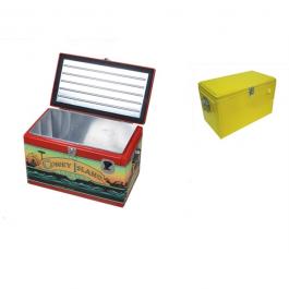 20L Picnic Metal Cooler